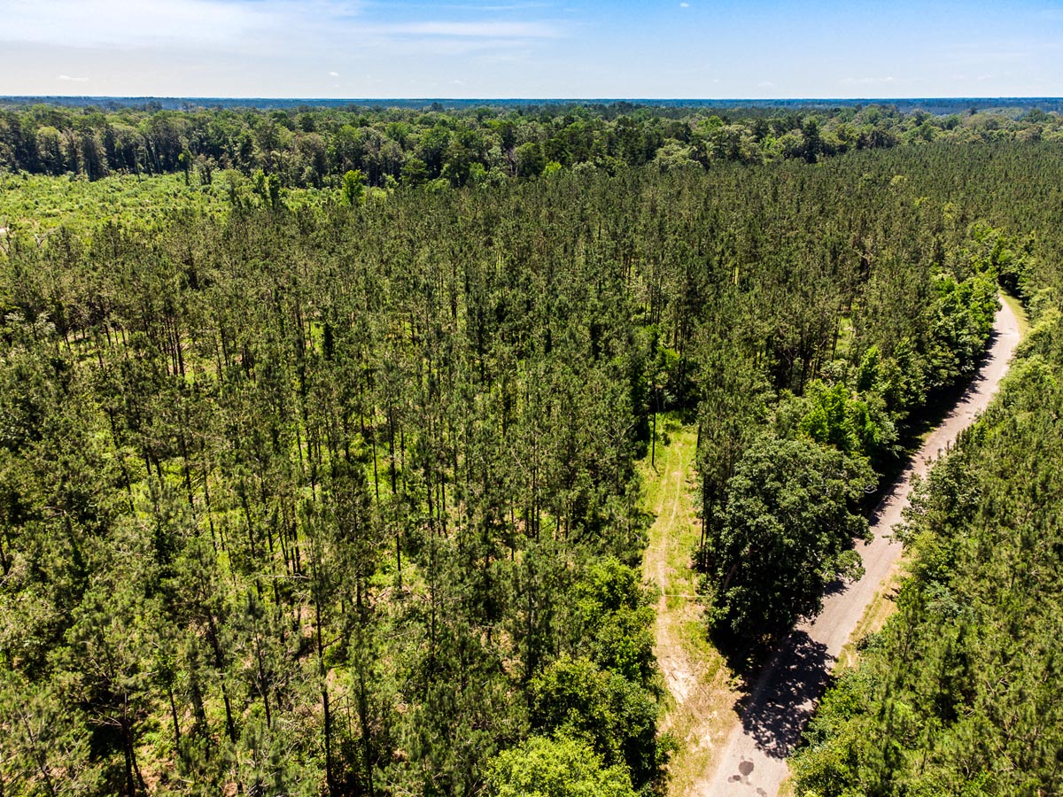 4 Acres Vacant Land in Pine Grove, LA (St. Helena Parish