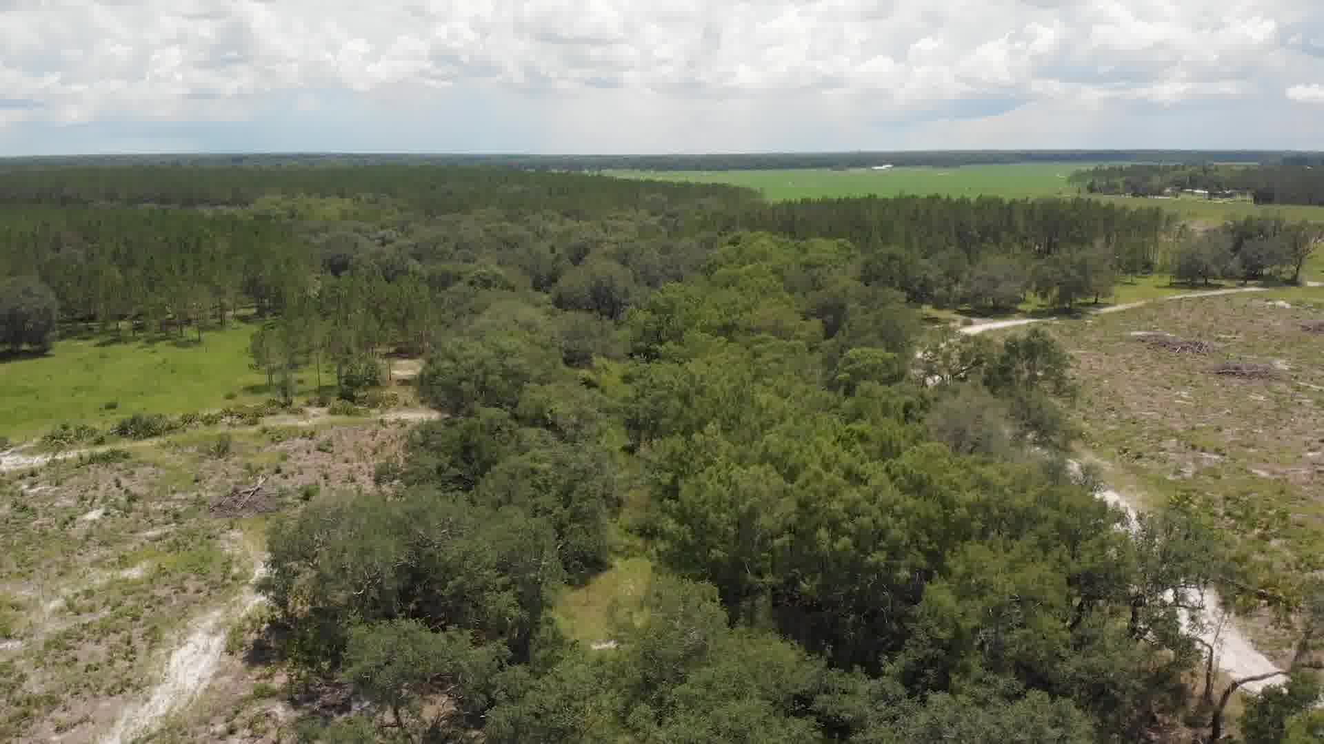 Lafayette County Florida 80 Acres