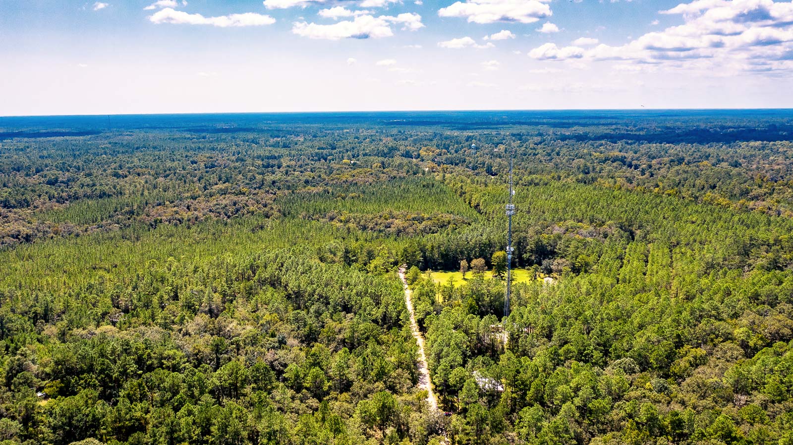 5 Acres Vacant Land in Sopchoppy, FL (Wakulla County)