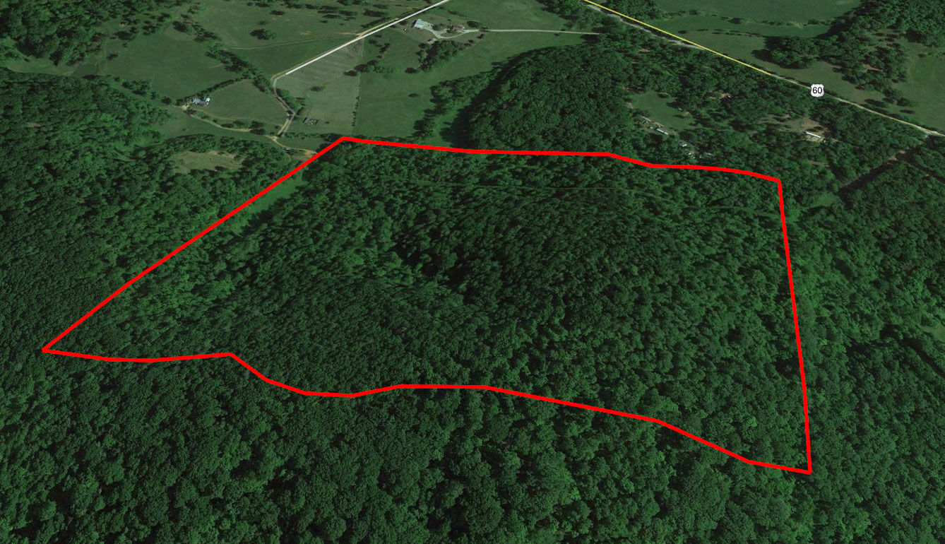 72.35 Acres Vacant Land in Amherst, VA (Amherst County