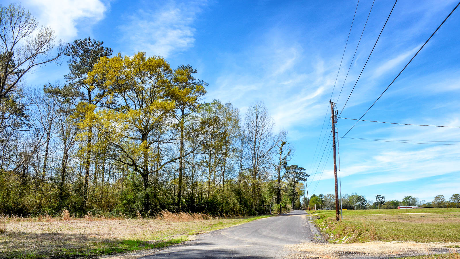 5 Acres Vacant Land in Independence, LA (Tangipahoa Parish