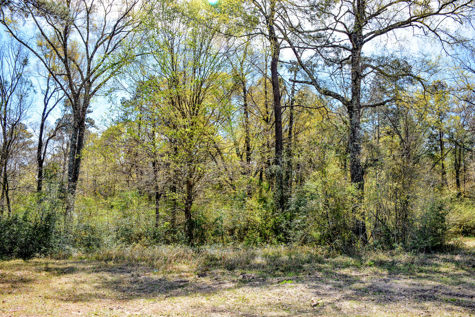 5 Acres Vacant Land in Independence, LA (Tangipahoa Parish