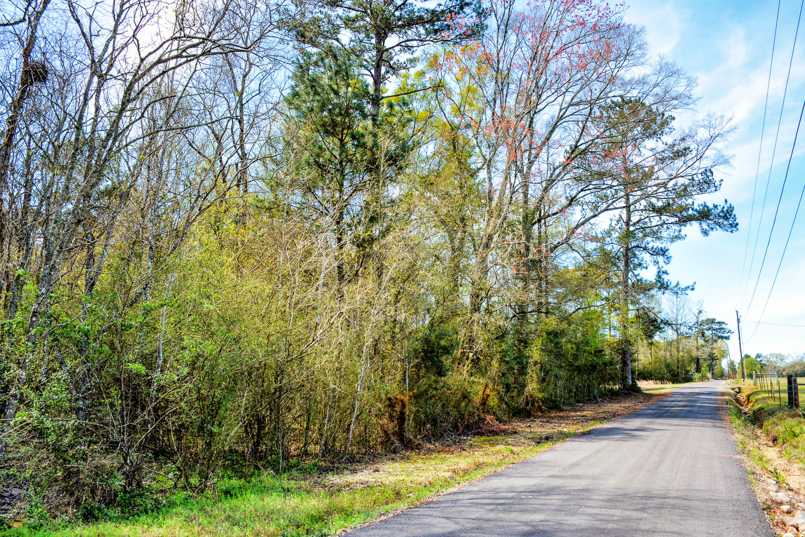 5 Acres Vacant Land in Independence, LA (Tangipahoa Parish