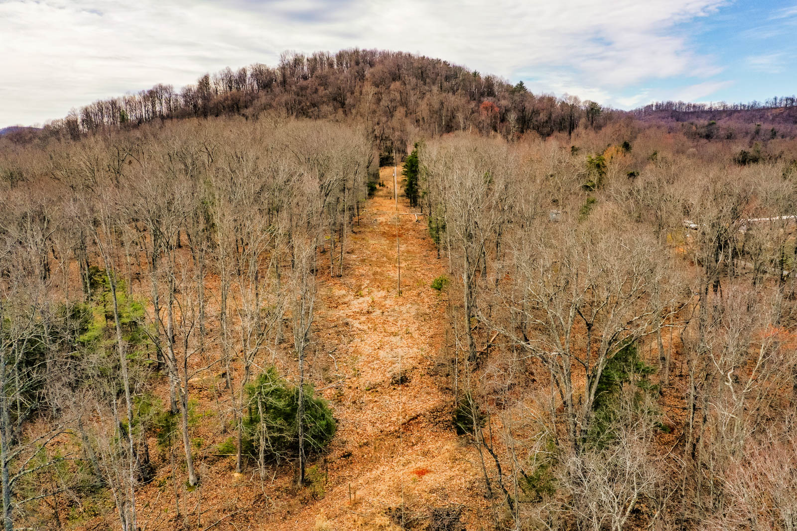 72.35 Acres Vacant Land in Amherst, VA (Amherst County