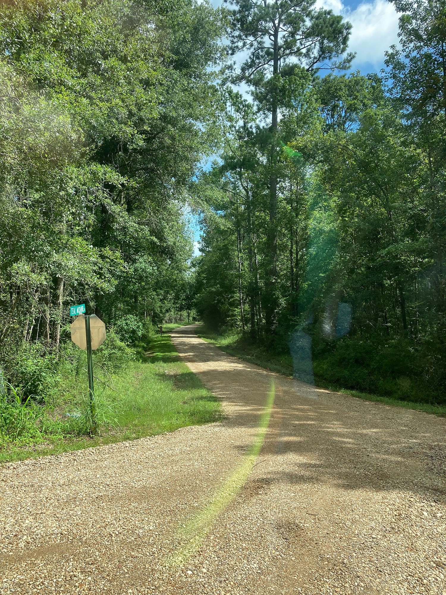 7 Acres Vacant Land in Pine Grove Louisiana (St. Helena Parish