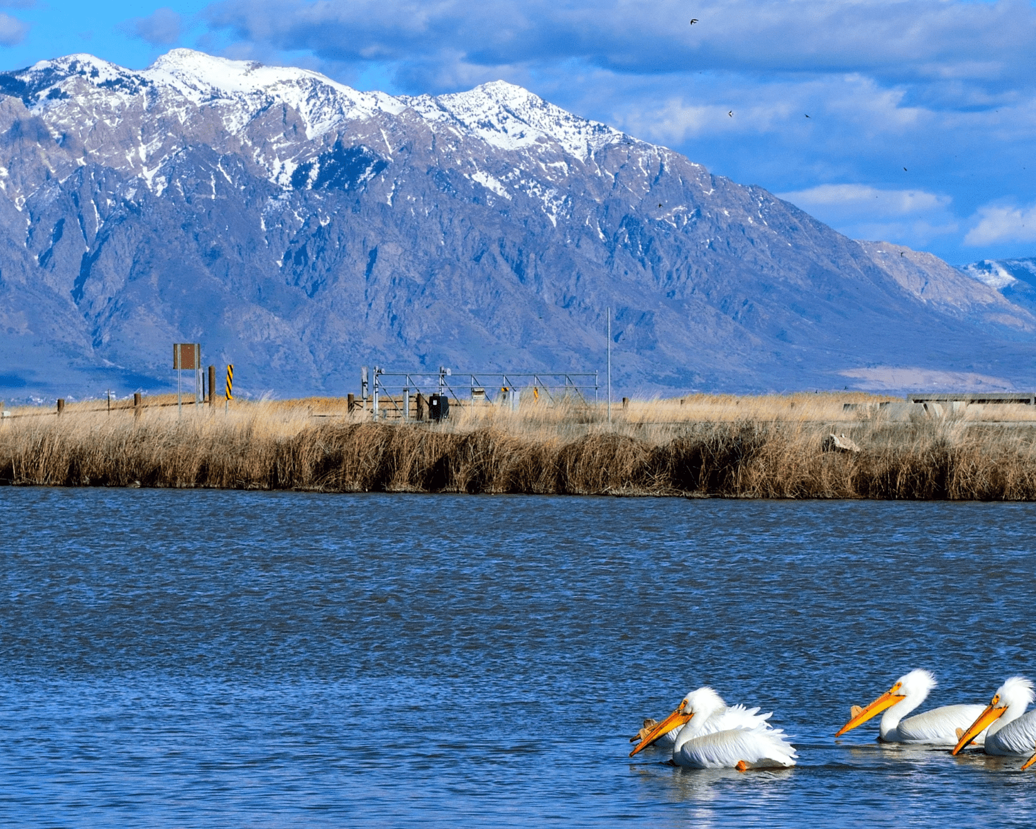 Northern Utah Luxury Custom Home Hotspot Peterson Builders Inc.