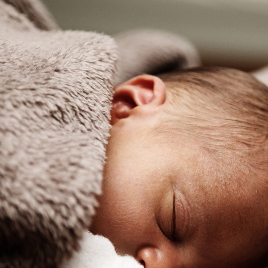 Photos Peterson Park Apartments