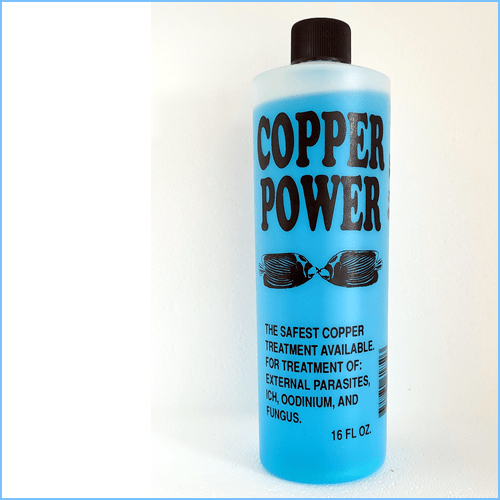 Copper Power Copper Treatment Pete's Aquariums & Fish