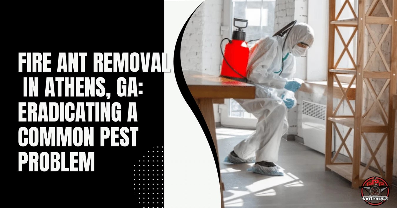 Bed Bug Heat Treatment in Athens, GA A Proven Method for Eliminating