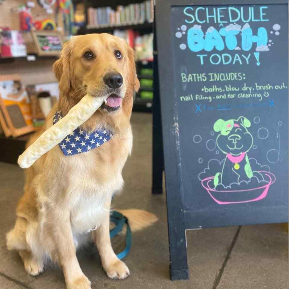 Unlock Success with Pet Evolution A Top Pet Franchise