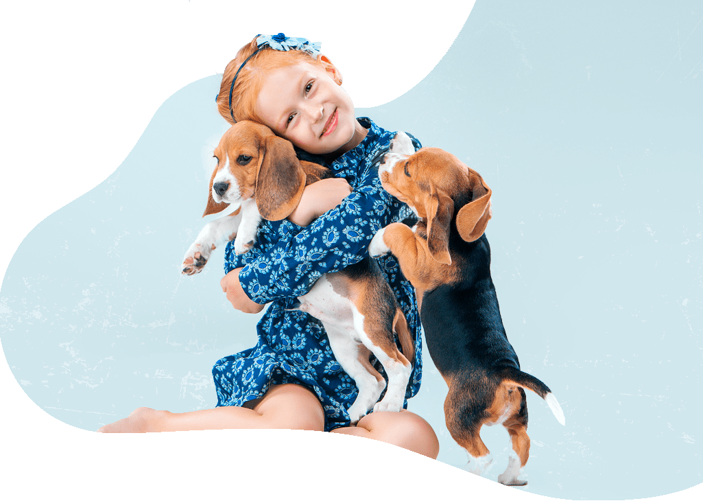 Pet Express International Pet Shipping Services About Us