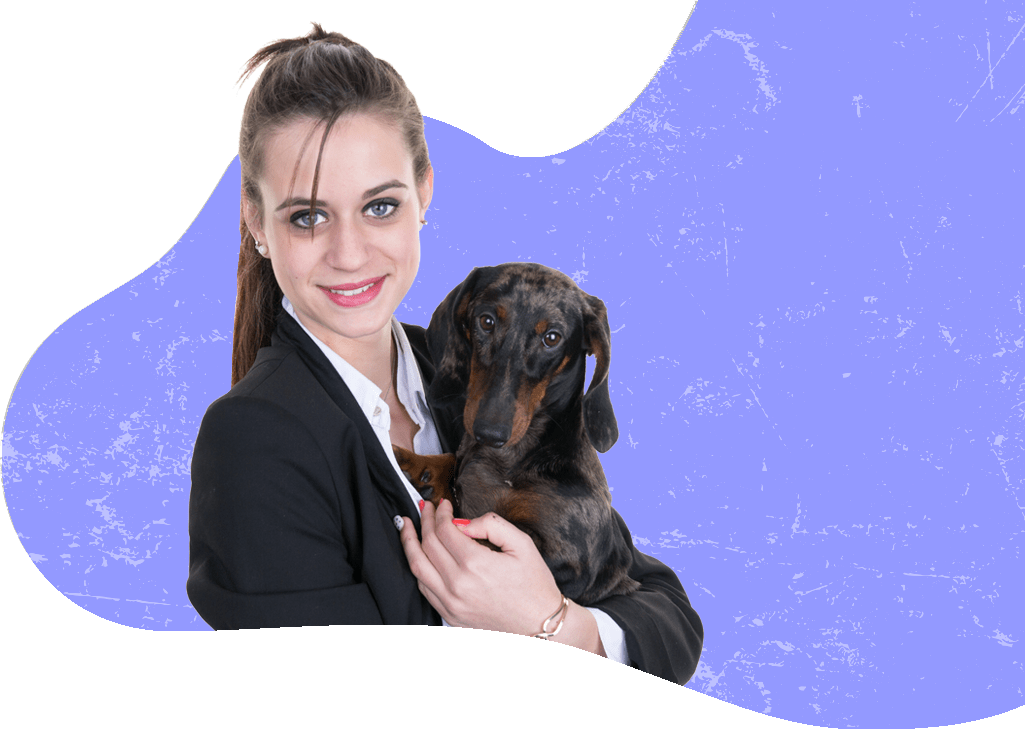 Exporting Pets From Japan at Della McBride blog