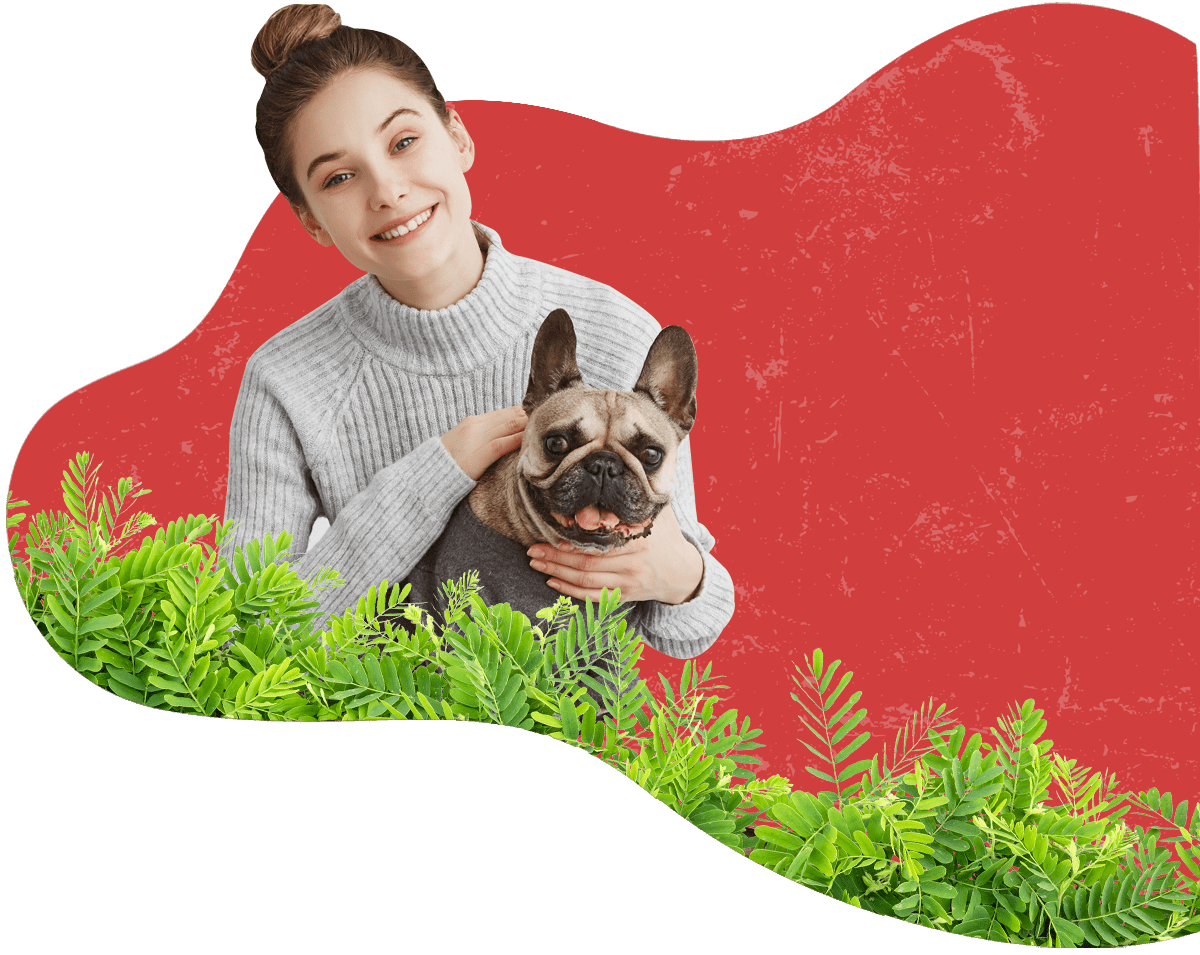 PetExpress.LK Pet Relocation Pet Shipping Services Animal Transport