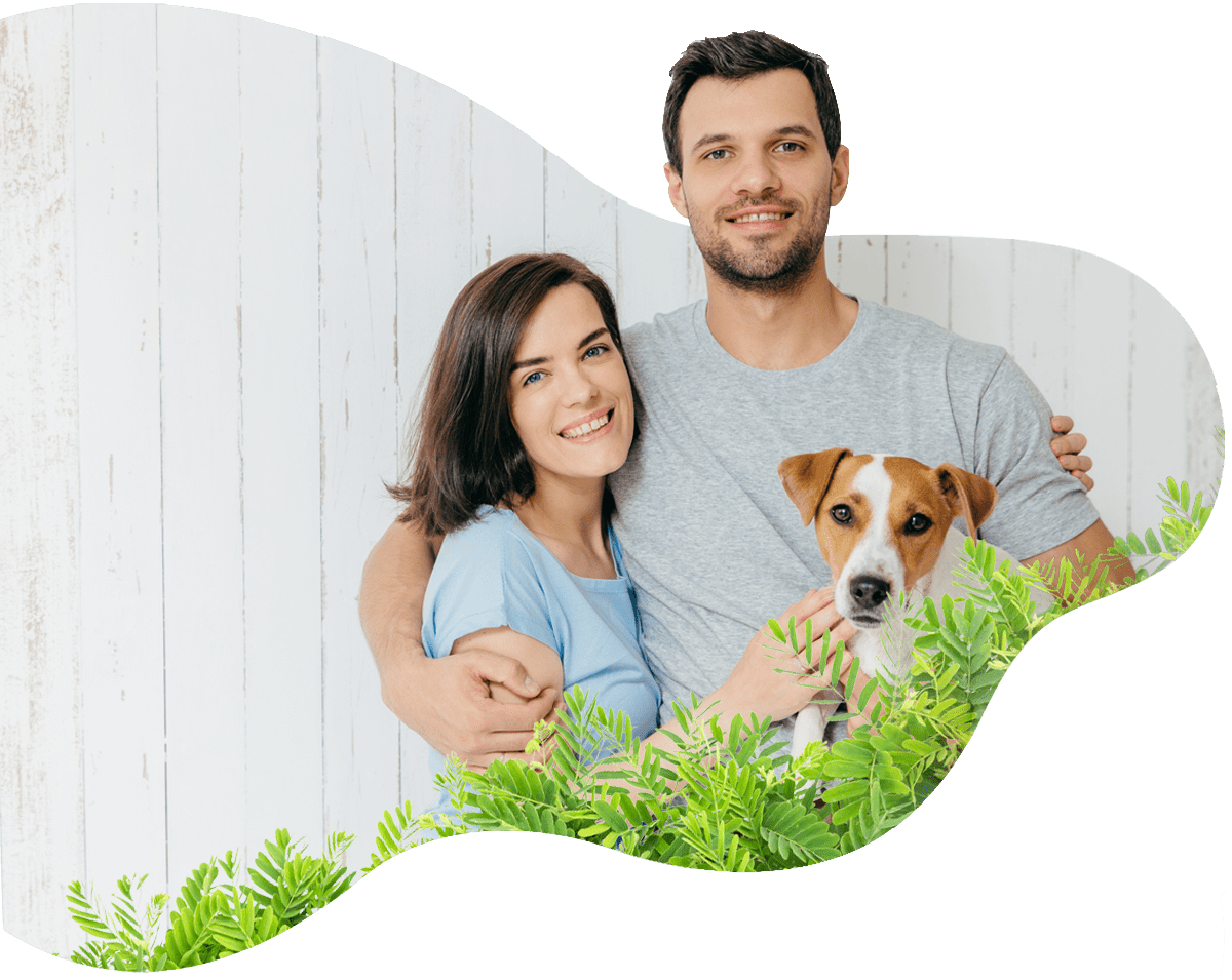 PetExpress.LK Pet Relocation Pet Shipping Services Animal Transport