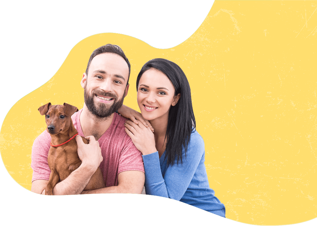 Pet Express Get a Pet Transport Quote Contact Us