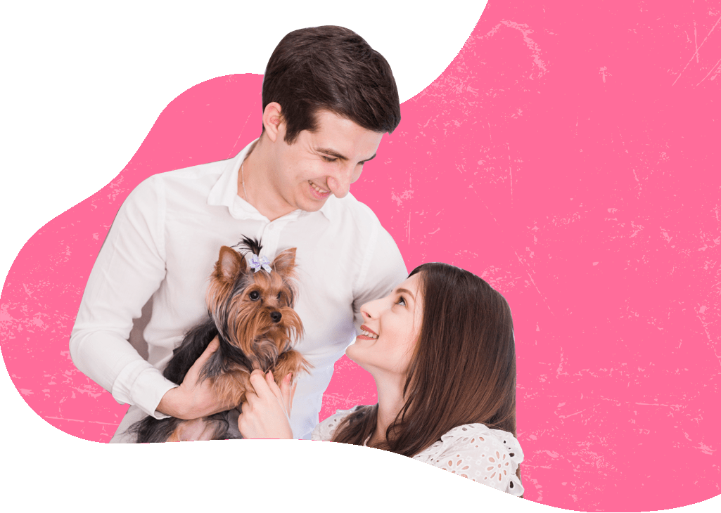 Pet Express Entry Regulations for Cats & Dogs entering Sri Lanka