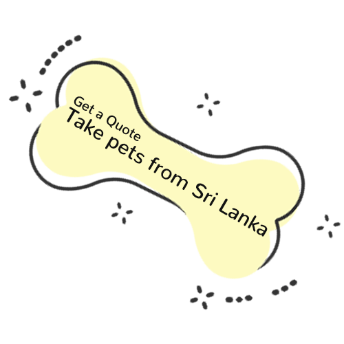 Pet Express Get a Pet Transport Quote Contact Us