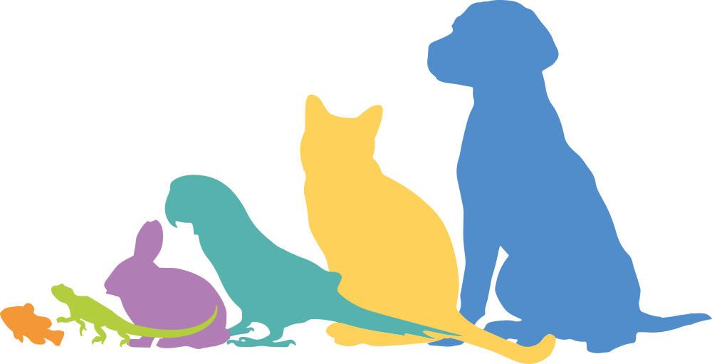 PIF Pet Industry Federation