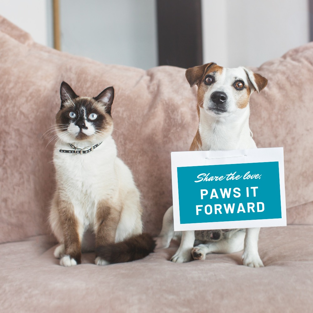 Refurral Rewards Program Pet First Veterinary Clinic