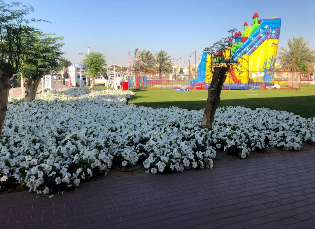 Warsan Pet Market A Must Read Before You Visit Pet First Veterinary Clinic