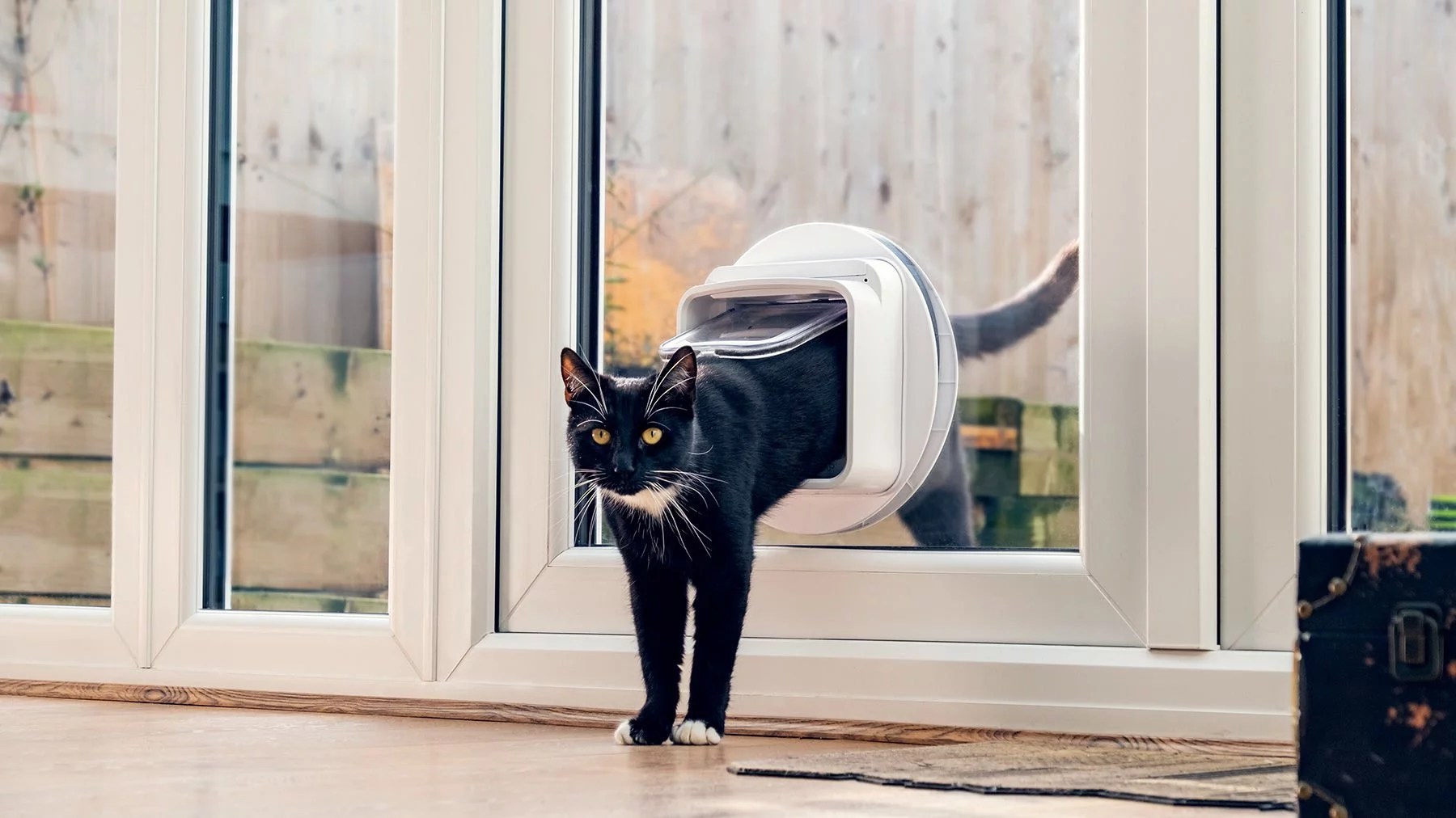 Cat Flap in Glass Doors & Dog Doors for Glass Doors Installed in the UK by Pet Flaps