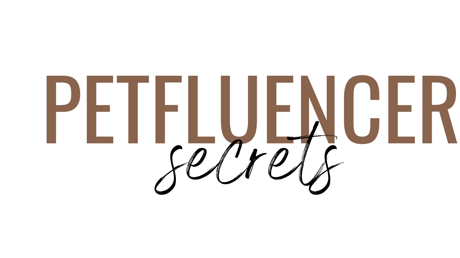 How to A Pet Influencer & Collaborate With BIG Brands