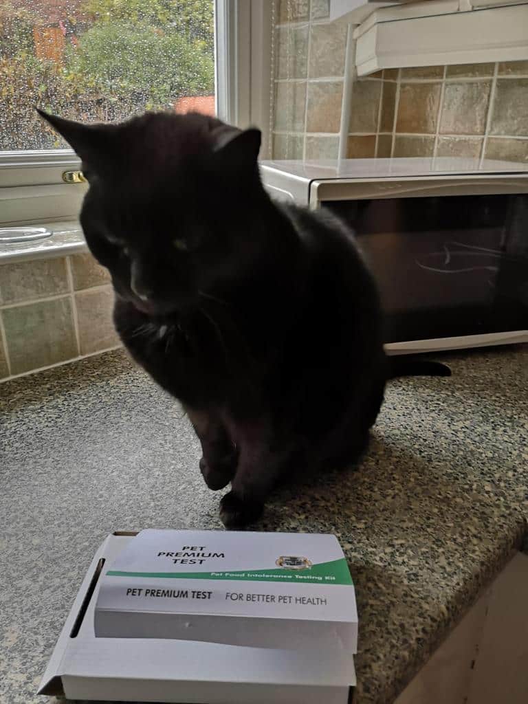 Our Pet Community Pet Food Intolerance UK
