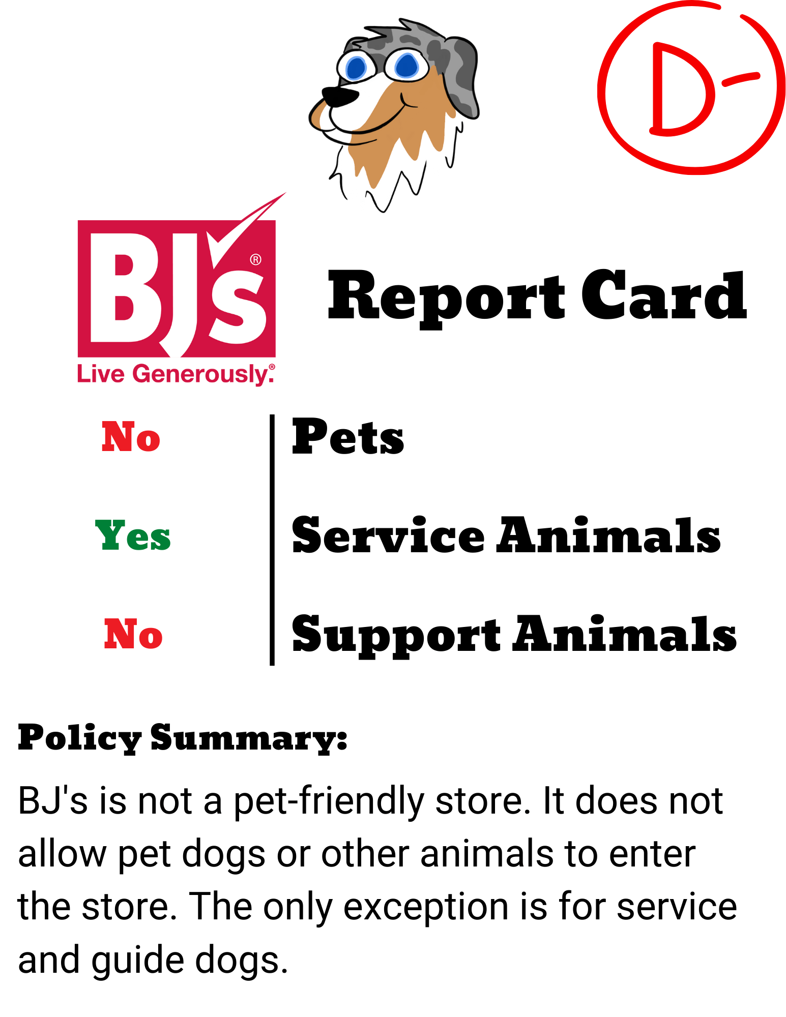 Is BJ's DogFriendly? 🐶 BJ's Pet Policy Explained [2022]