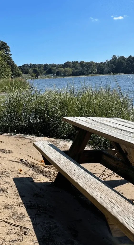 Cape Cod Pet Friendly Vacation Rentals