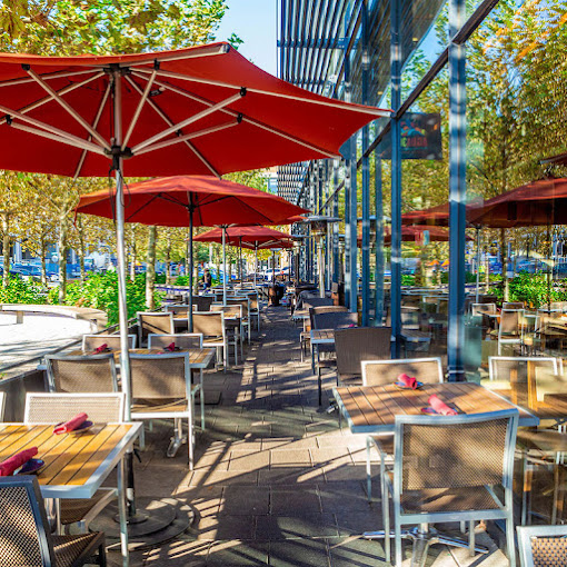 Agua 301 Restaurant Pet Friendly Restaurants in Washington, DC