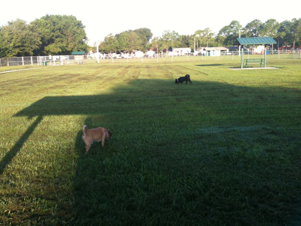 Logan Gate Dog Park Pet Friendly Sites