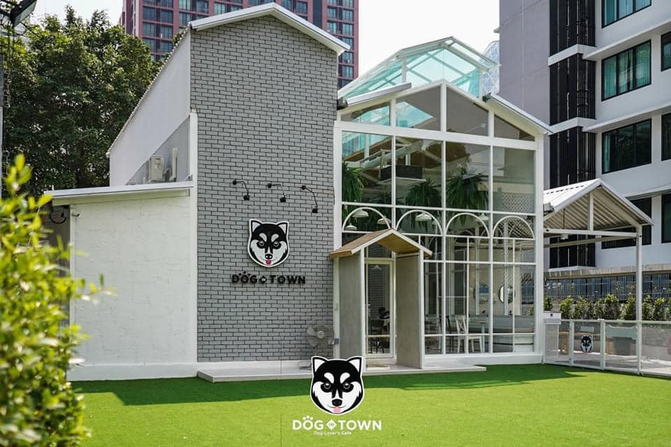 ด็อกอินทาวน์คาเฟ่ (Dog In Town Café) Pet Friendly Thailand