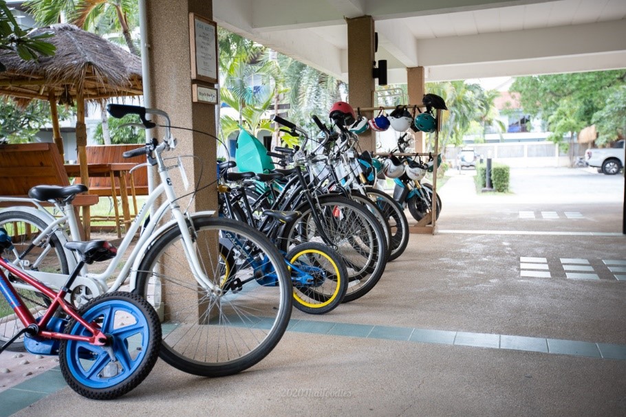 Dolphin Bay Resort Pet Friendly Thailand