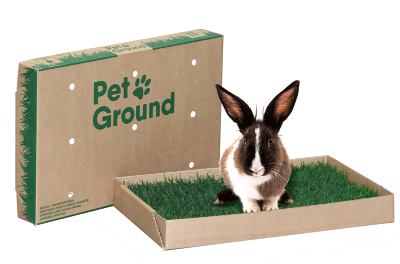 PetGround Conejos PetGround