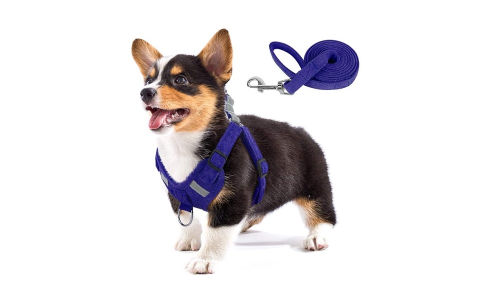 How to Make a Fabric Dog Collar Pet Guide Reviews