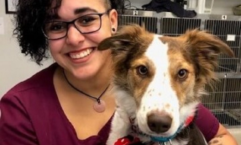 100+ Scientist Inspired Dog Names for Your New Sweetie Pet Guide Reviews