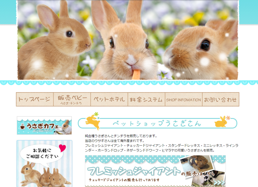 【口コミ/料金】ペットショップうさぎさん(5点/1件のレビュー)｜【公式】みんなのペットホテル