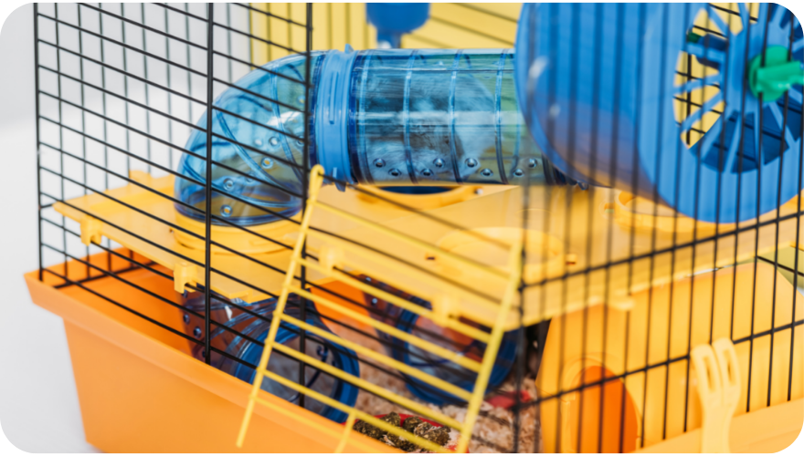 The Ultimate Guide to Hamster Cages Pet Hamster Information