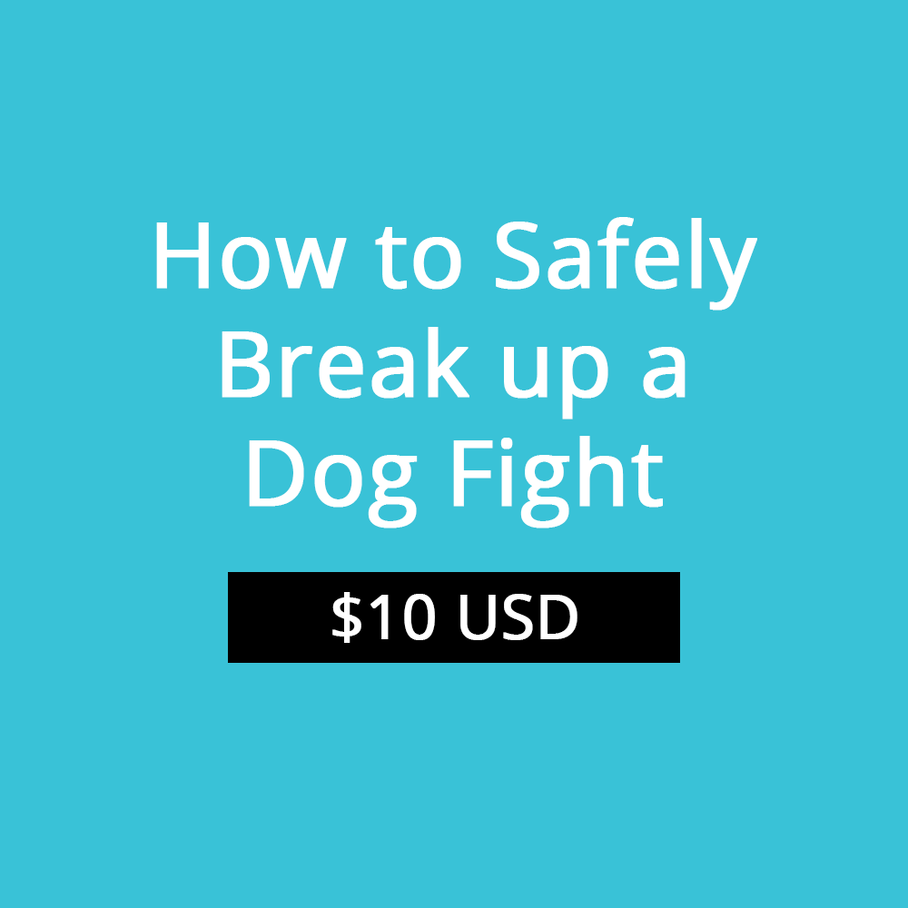 How to Safely Break up a Dog Fight Pet Harmony