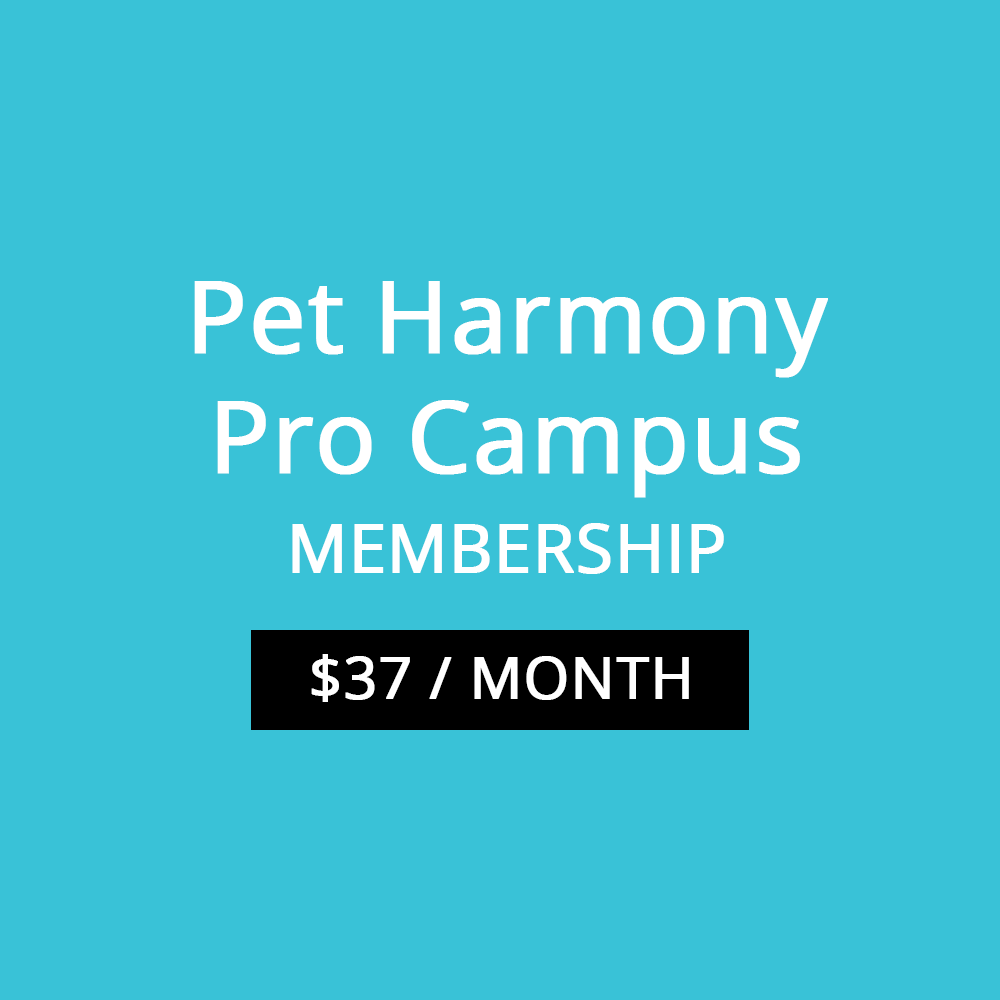 Online Dog Training Courses Pet Harmony