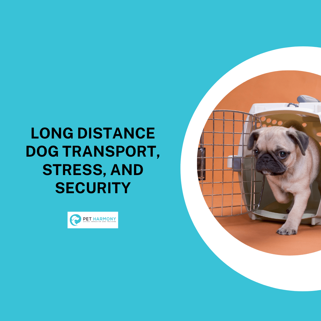 Long Distance Dog Transport, Stress, and Security Pet Harmony