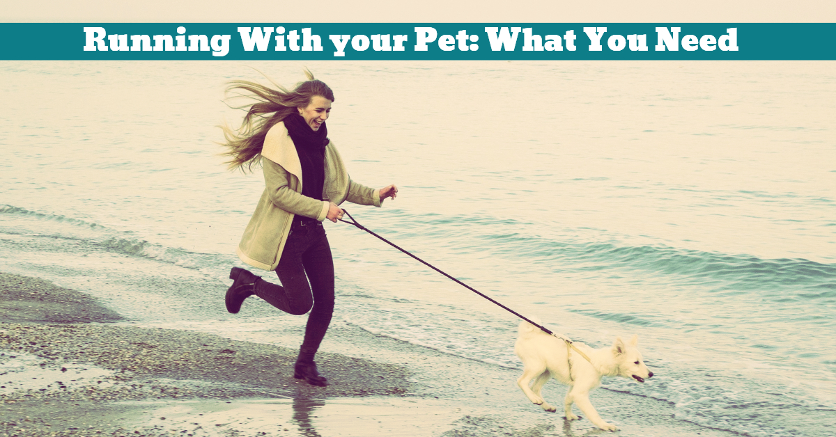 Running With your Pet What You Need Pet Hooligans