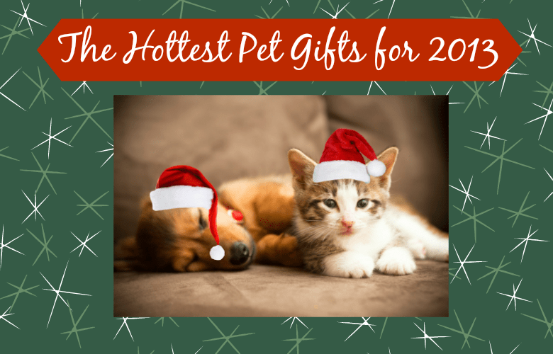 The Hottest Pet Gifts for 2013 Pet Hooligans