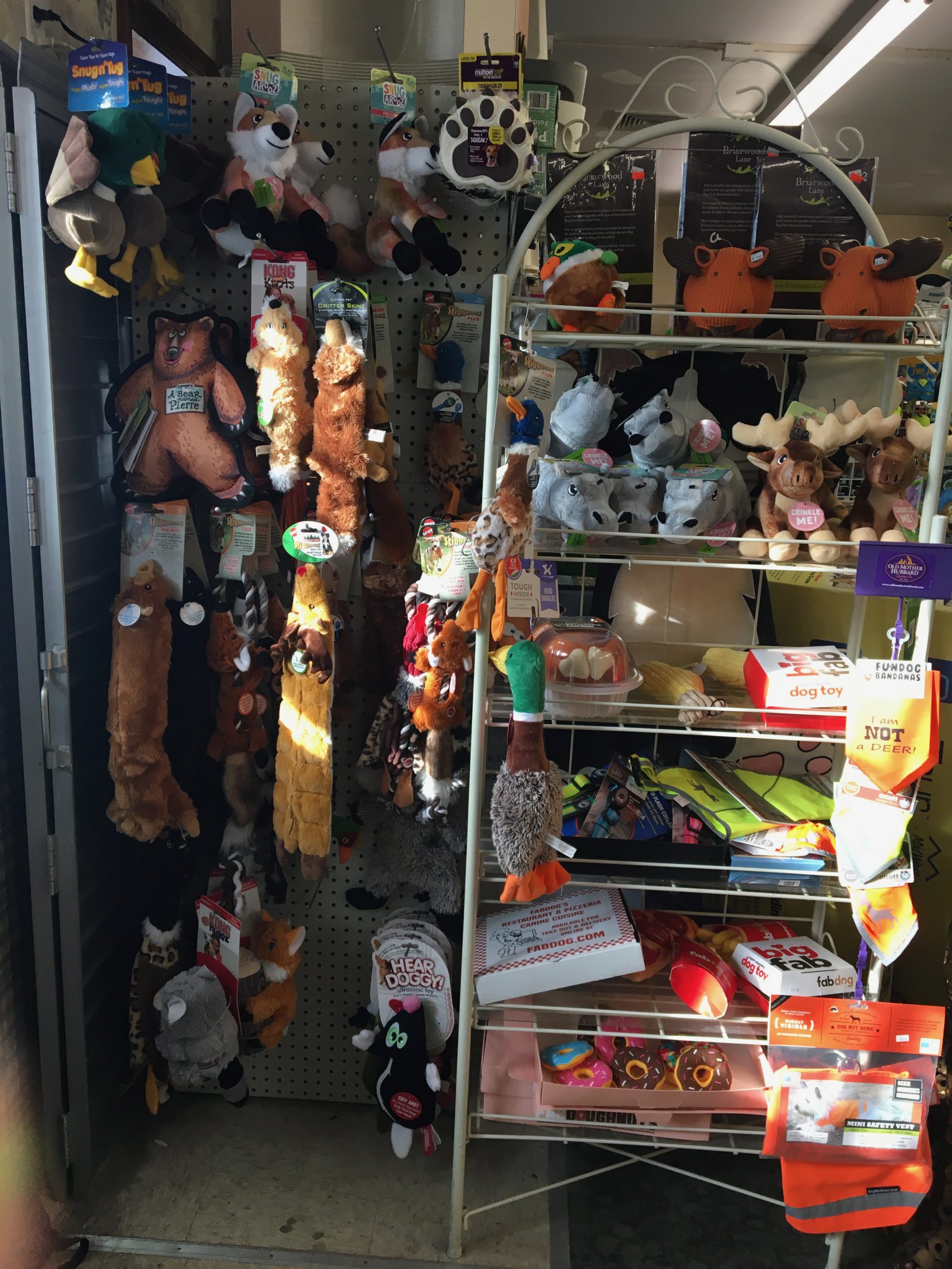 Pet HeadQuarters Pet HeadQuarters Santa Photos Dog and Cat Food Raw Foods Small Animal