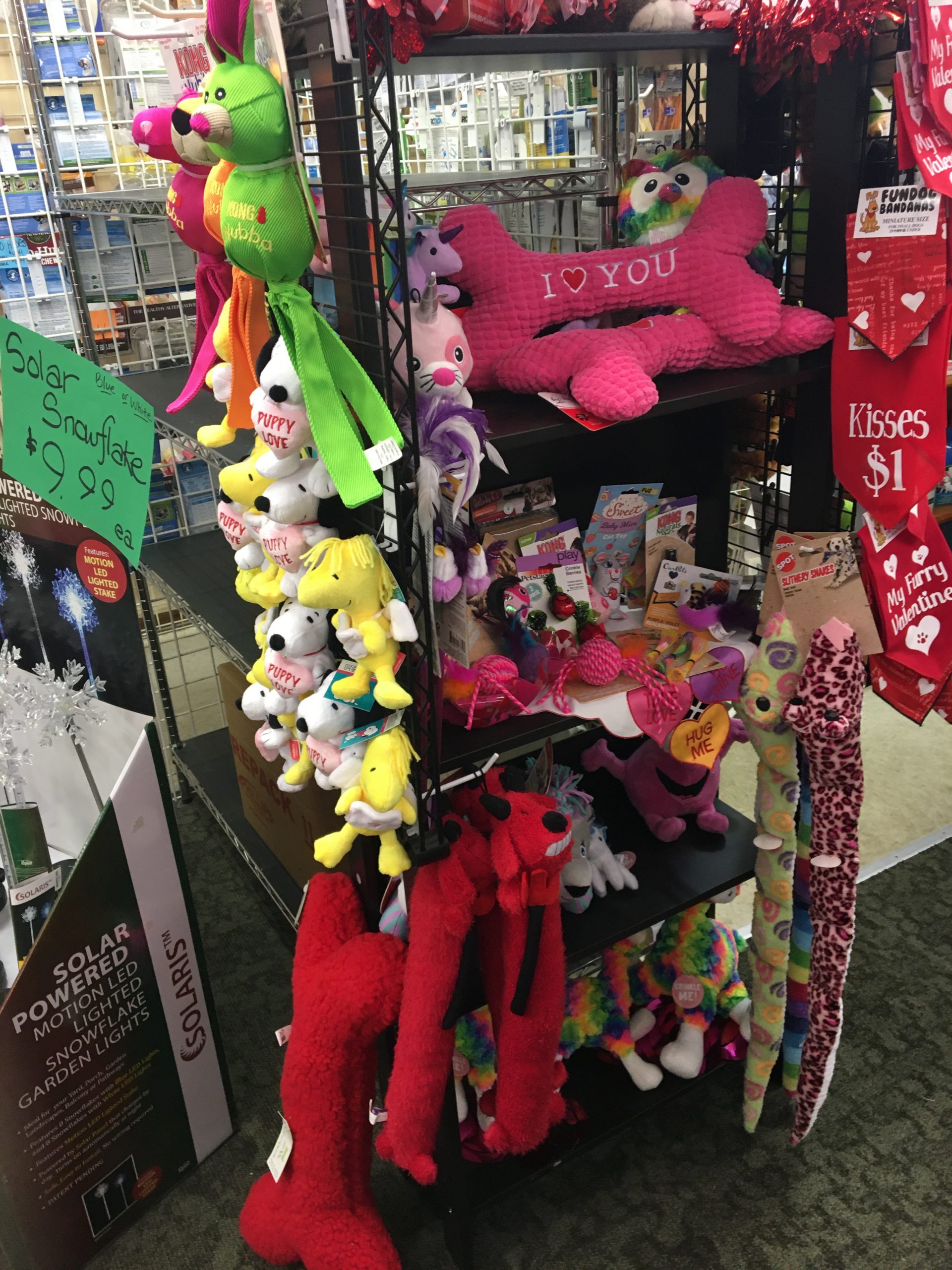 Pet HeadQuarters Pet HeadQuarters Santa Photos Dog and Cat Food Raw Foods Small Animal