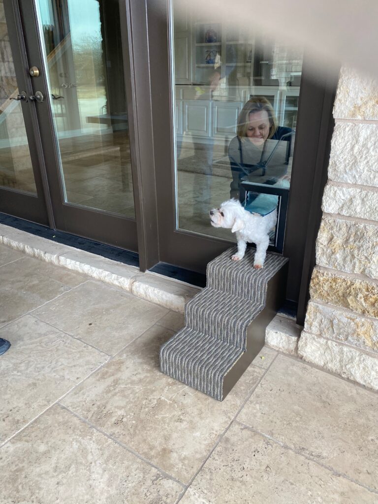 Pet Door Installation in Sacramento Pet Independence