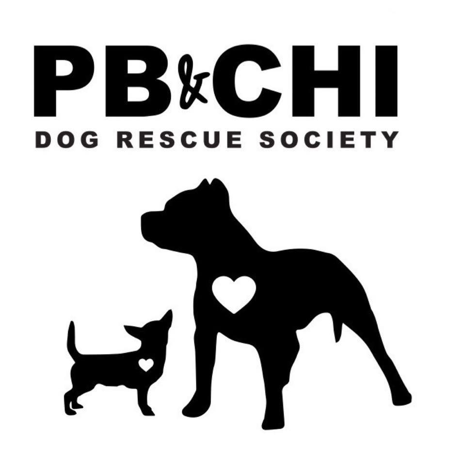 The Best Dog Rescues In British Columbia [2024 Rankings] Pet Inquirer