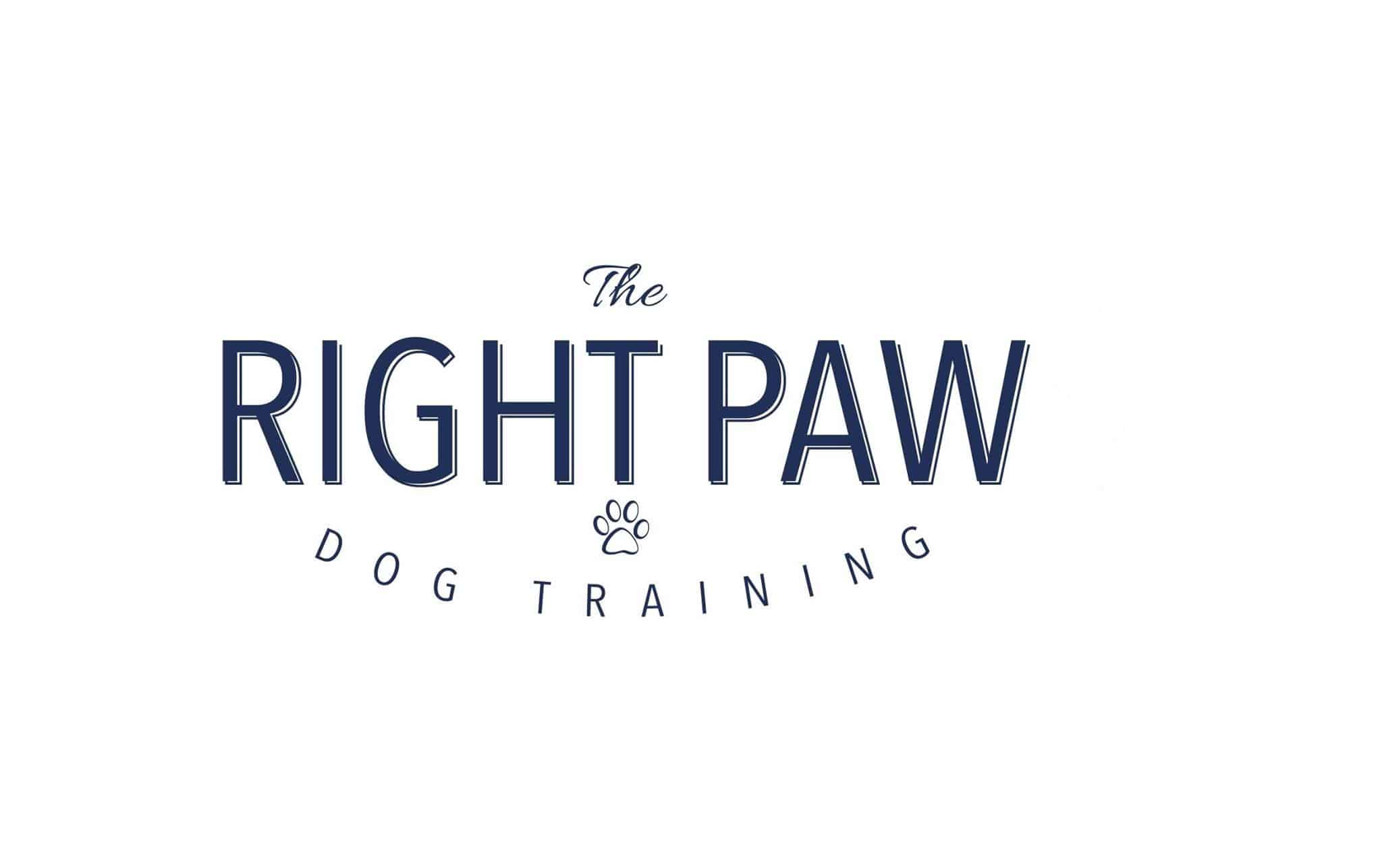 The Best Dog Trainers In Tampa [2024 Rankings] Pet Inquirer