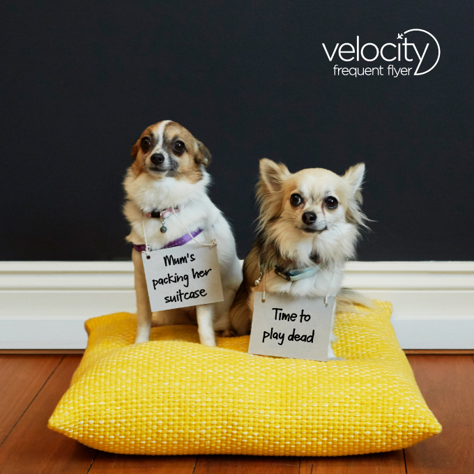 Congratulations to the Winner of 250,000 Velocity Points