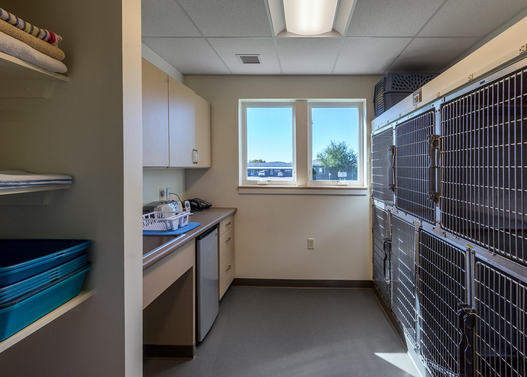 Petit Brook Veterinary Clinic Tour Vet In Colchester, VT